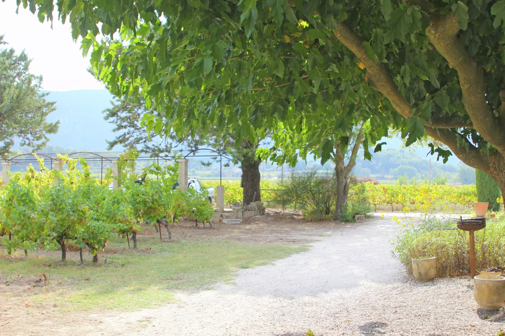 Le Mûrier-View summer