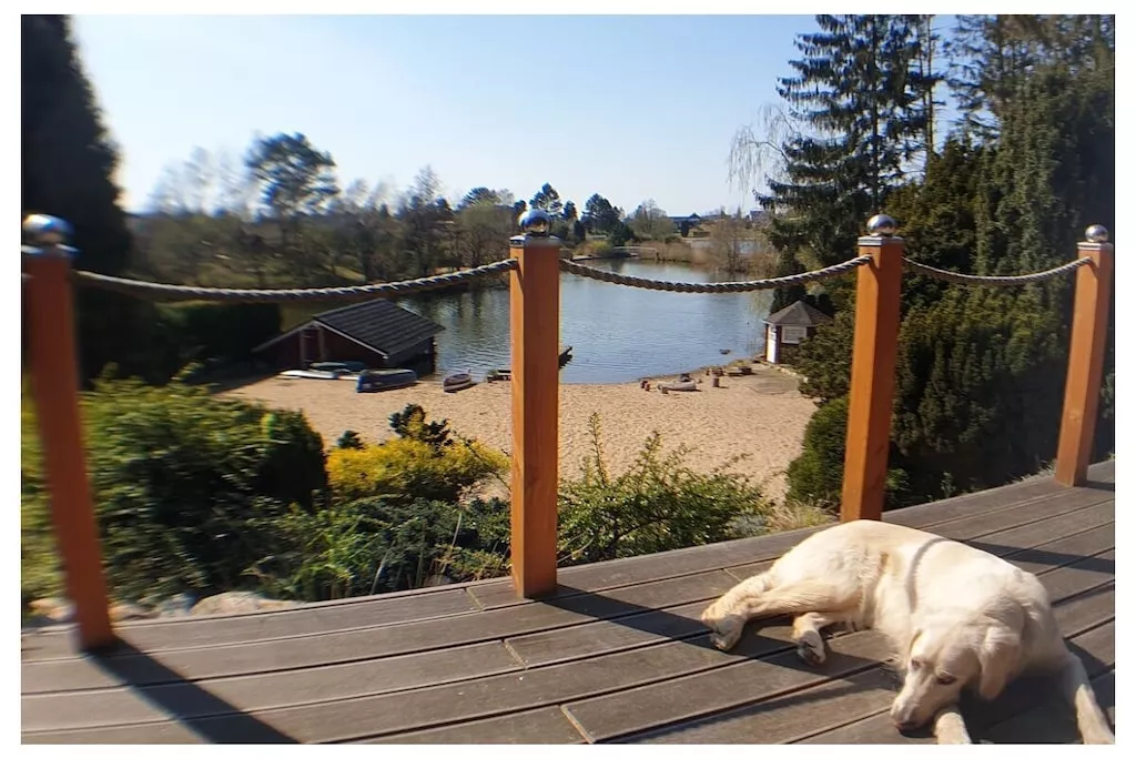 203055-Nicht zugeordnet