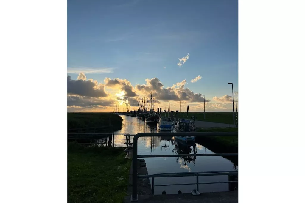 631276-Nicht zugeordnet