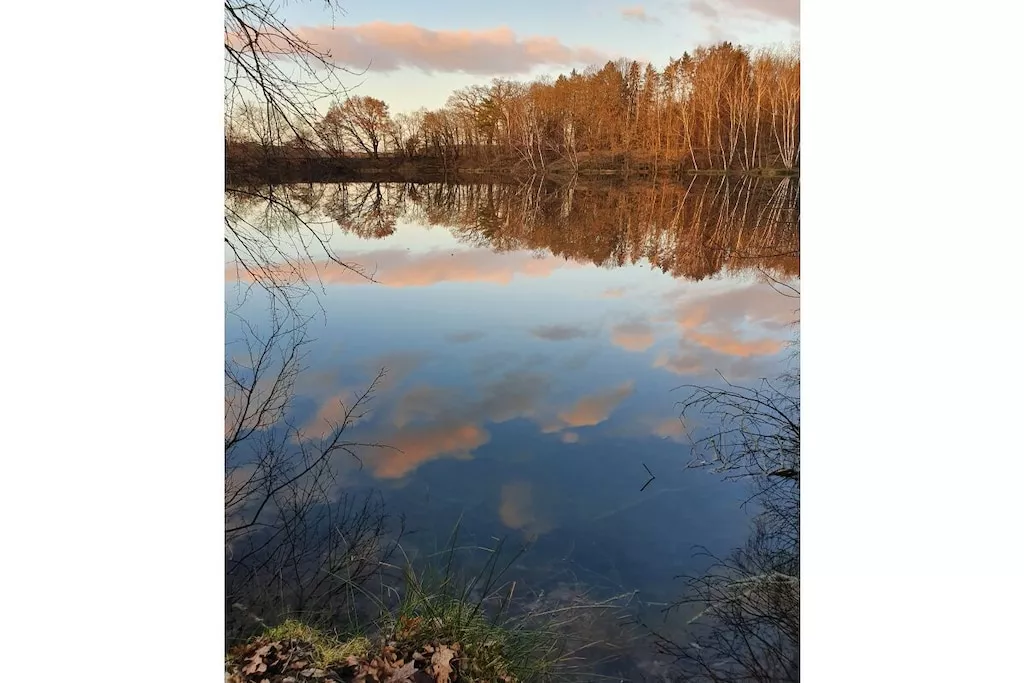 459081-Nicht zugeordnet