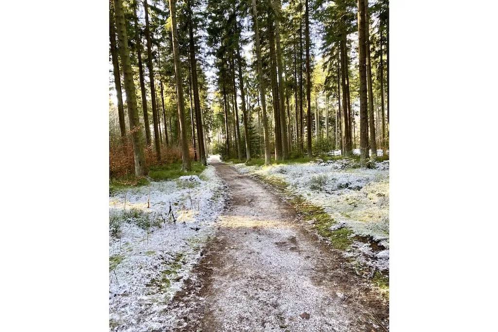 285014-Nicht zugeordnet