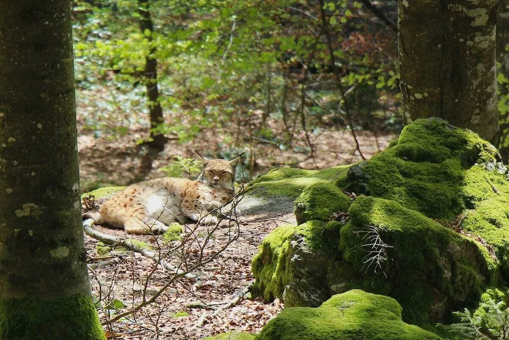 581605-Nicht zugeordnet