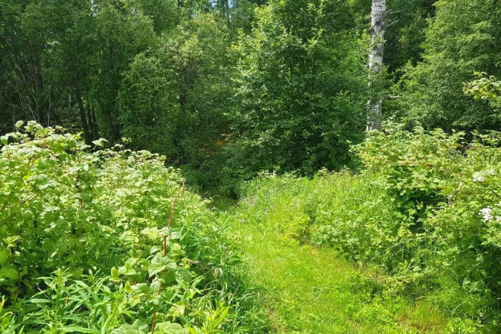 4 person holiday home in RAMSJÖ-By Traum-Not tagged