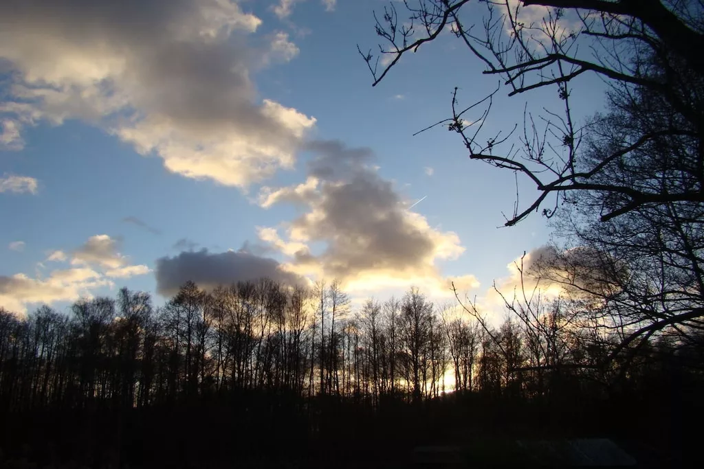 45956-Nicht zugeordnet