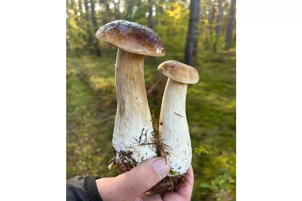 603128-Nicht zugeordnet