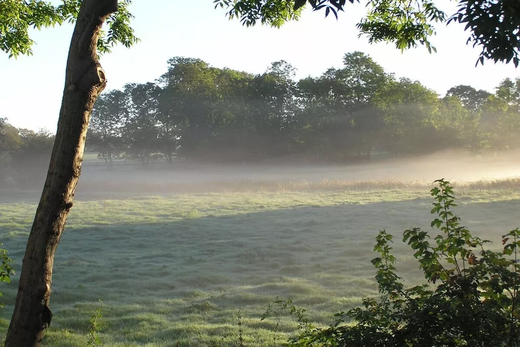 97371-Nicht zugeordnet