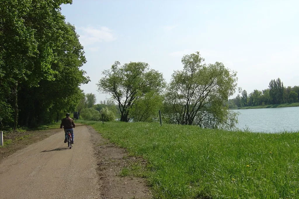 68478-Nicht zugeordnet