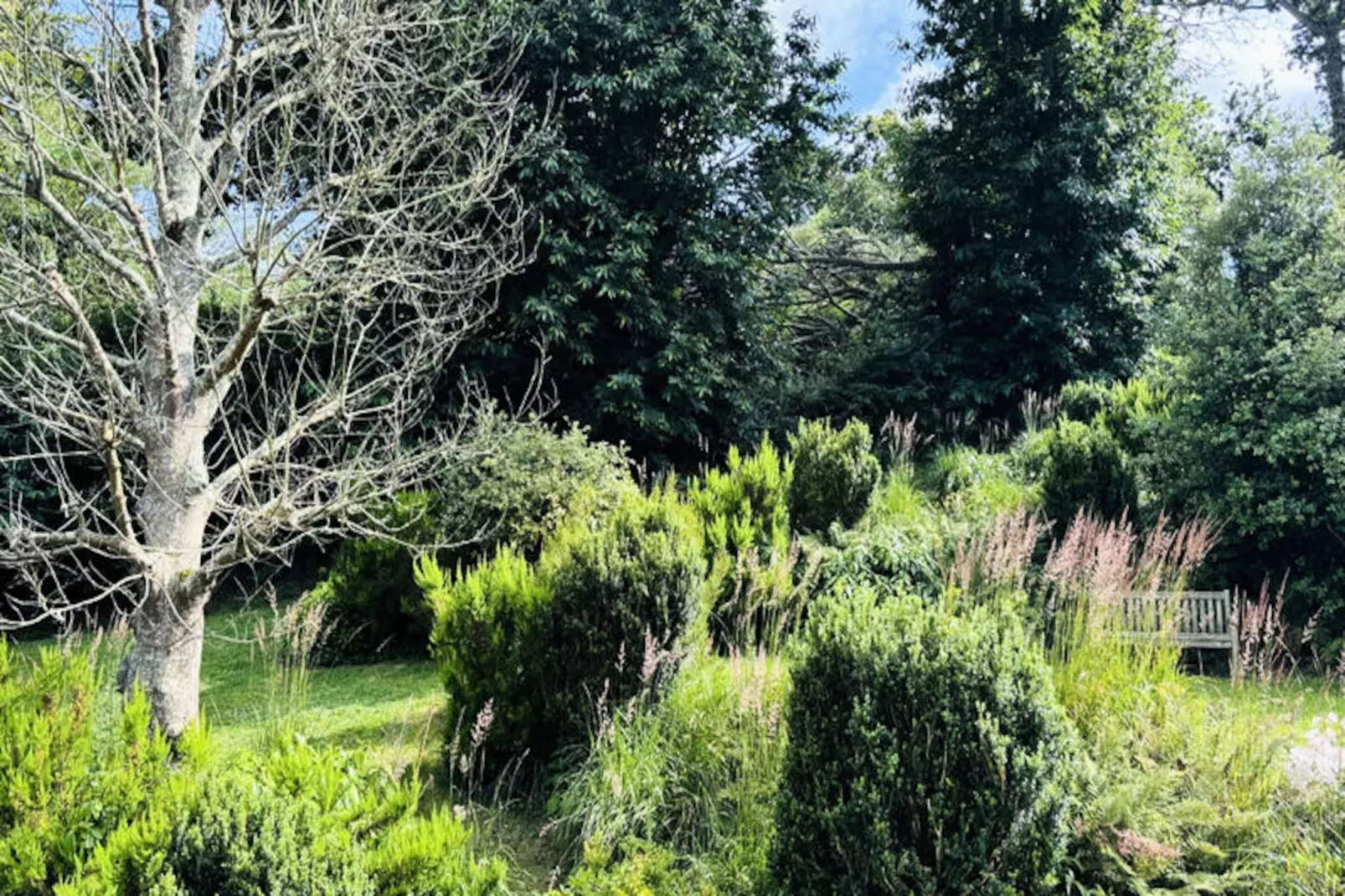 Maison à Plougrescant-Image-tags.