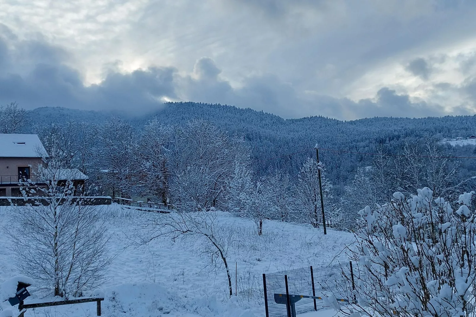 Chalet l'Aigle - Saint-Maurice-sur-Moselle-View winter