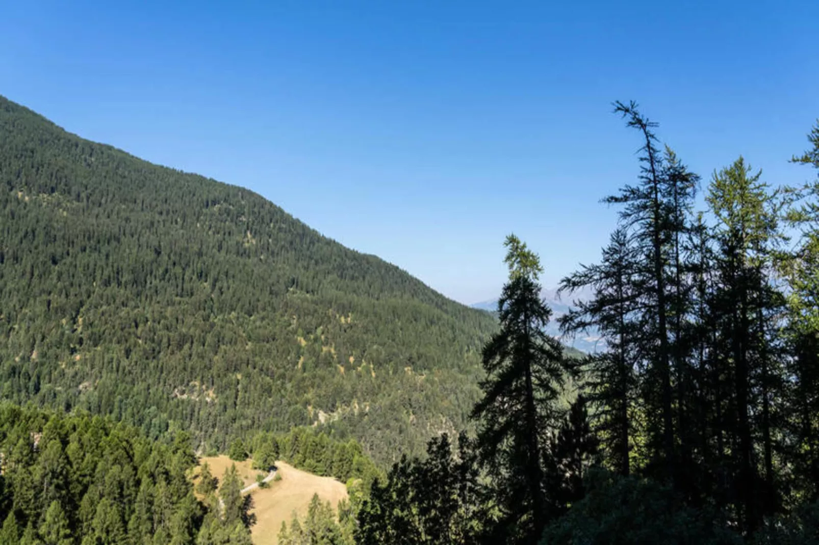 Résidence Le Belvedere - View in summer