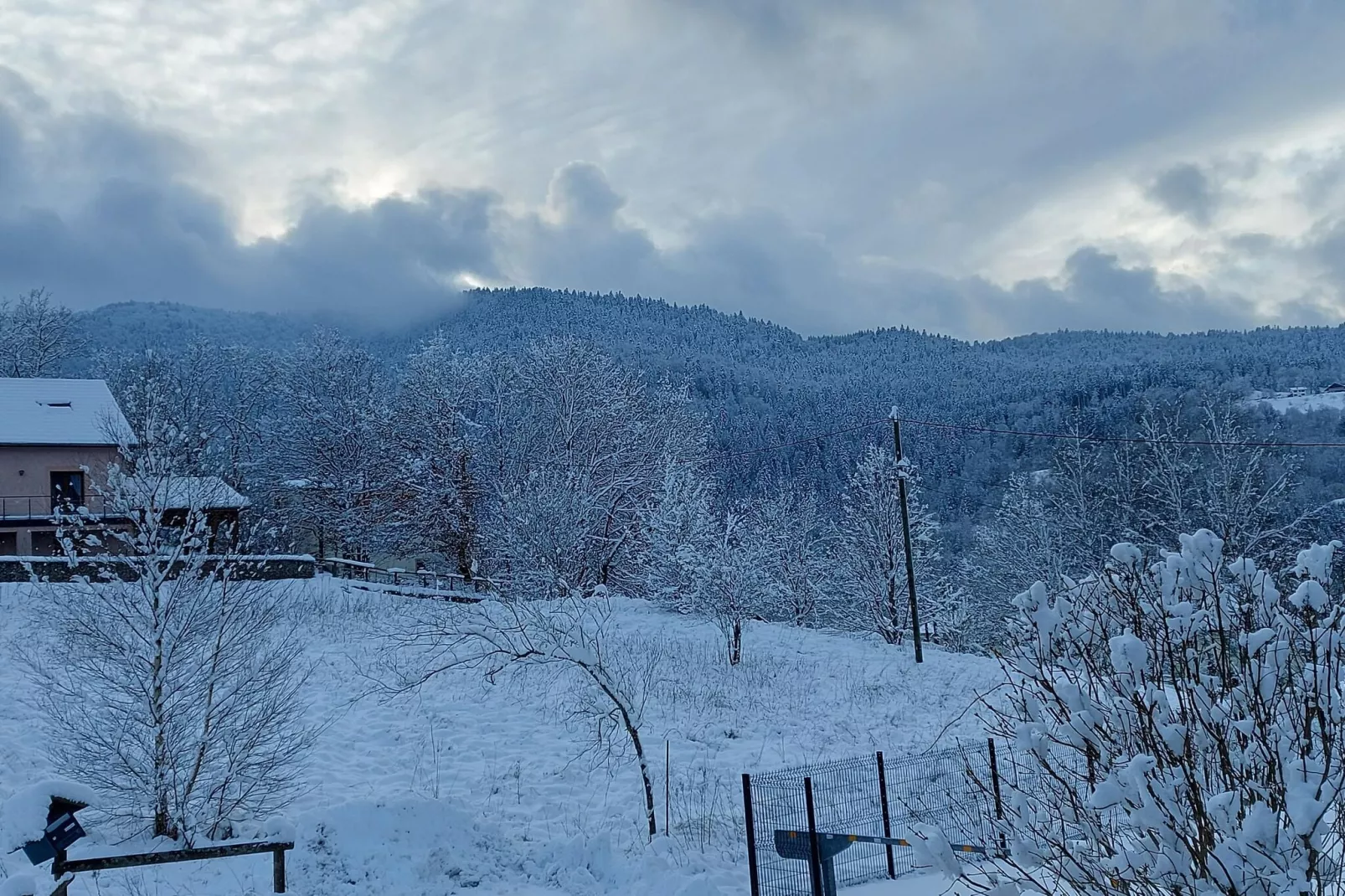 L'Aigle chalet ensemble - Saint-Maurice-sur-Moselle-Garden winter