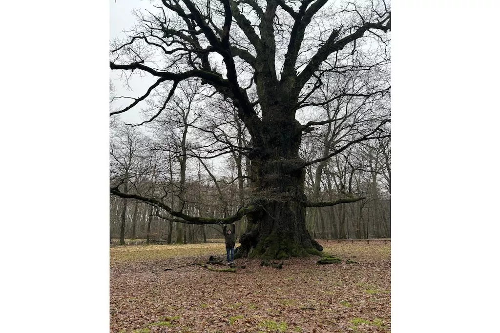 603128-Nicht zugeordnet