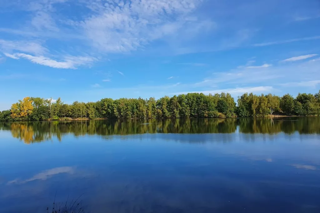 459081-Nicht zugeordnet