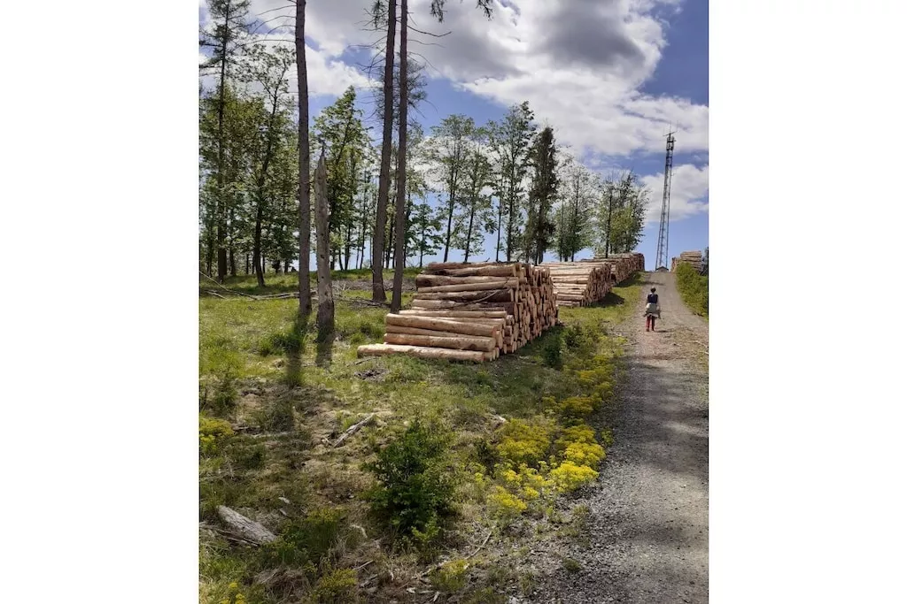 285014-Nicht zugeordnet