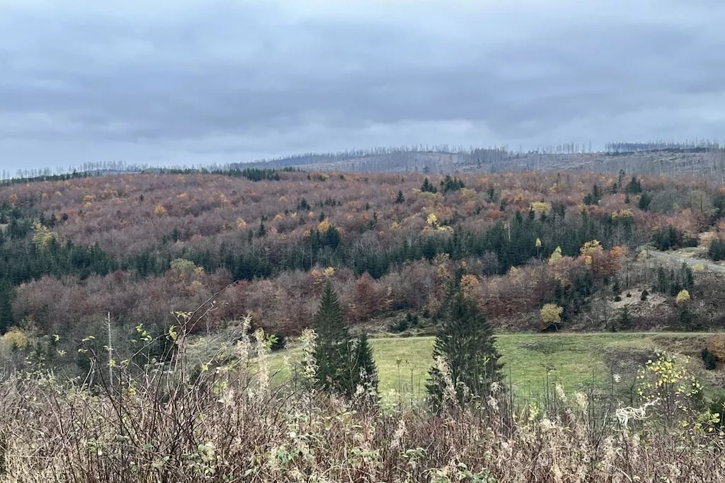 545063-Nicht zugeordnet