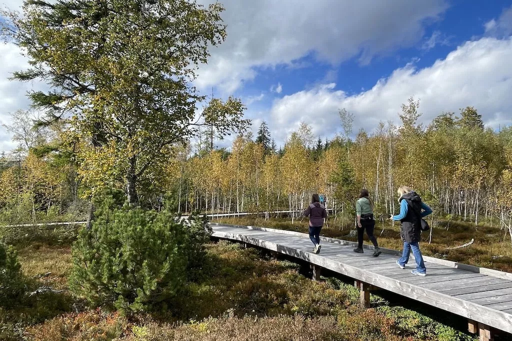 581605-Nicht zugeordnet