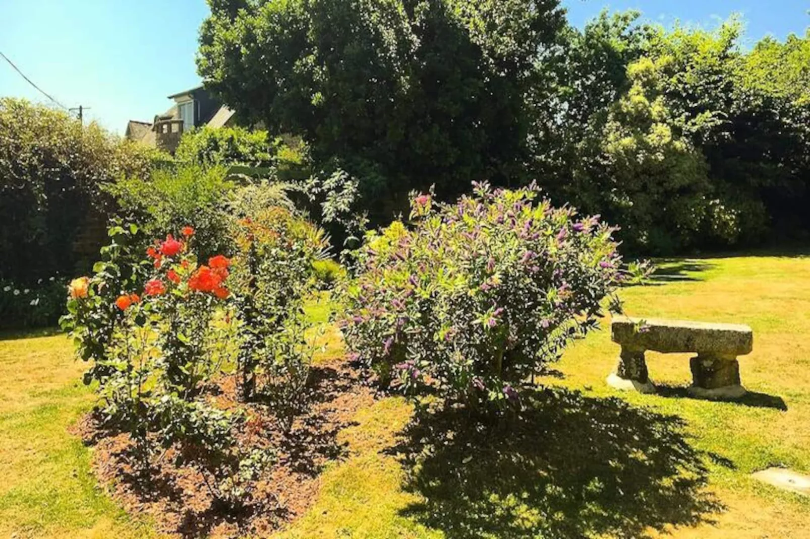 Maison à Penvénan-Image-tags.