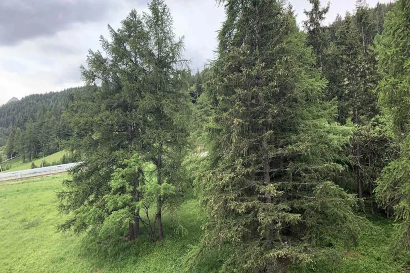 Résidence La Taniere-Image-tags.