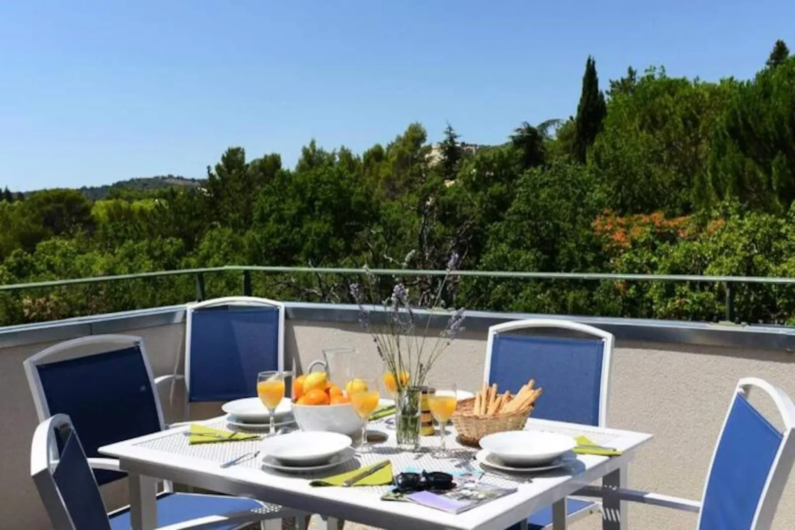 Terres de France - Côté Provence***-Image-tags.