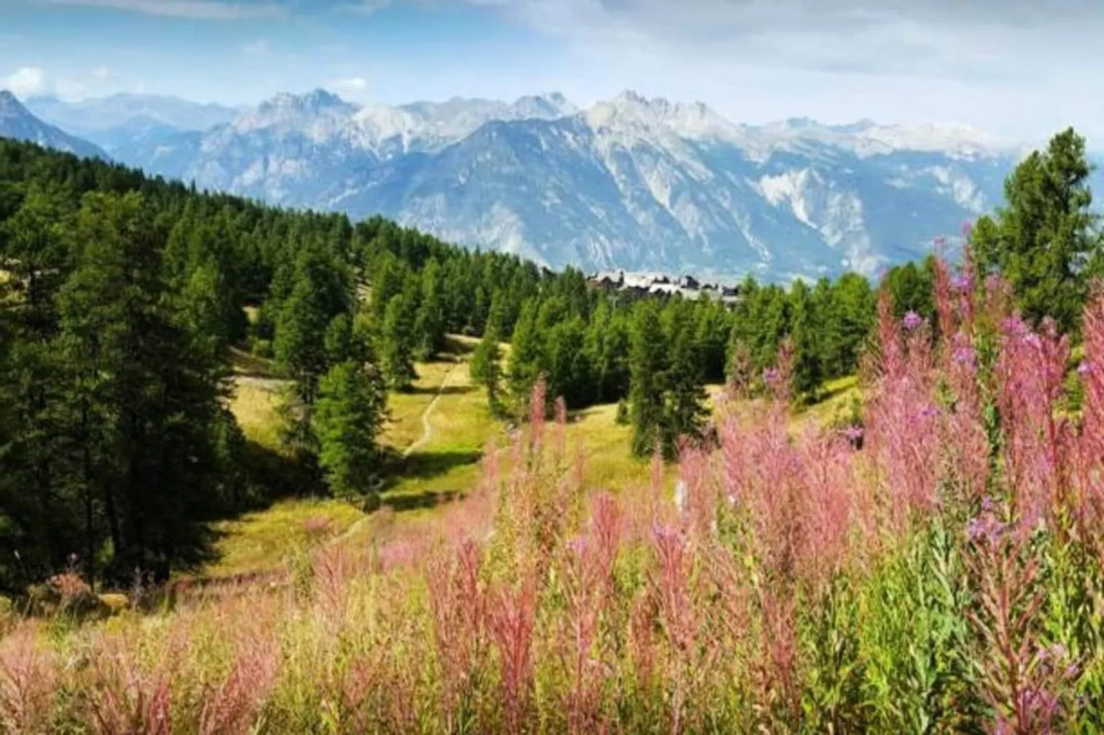 Résidence Colchiques - Aussicht Sommer