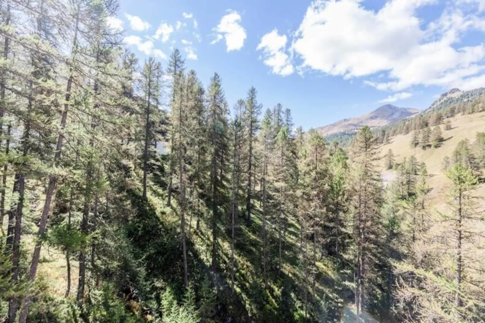 Résidence L'Eyssina - maeva Home - Vue d'été