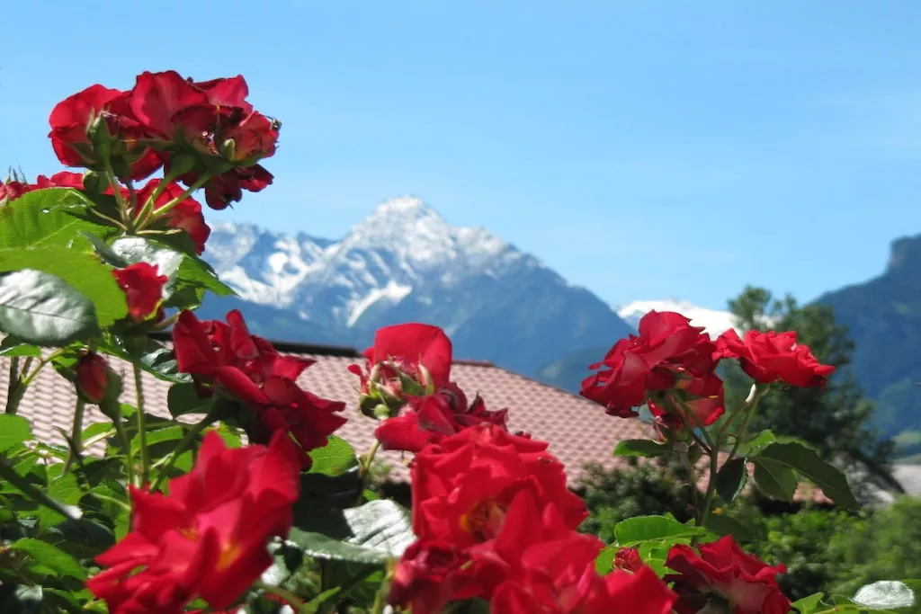 57496-Nicht zugeordnet