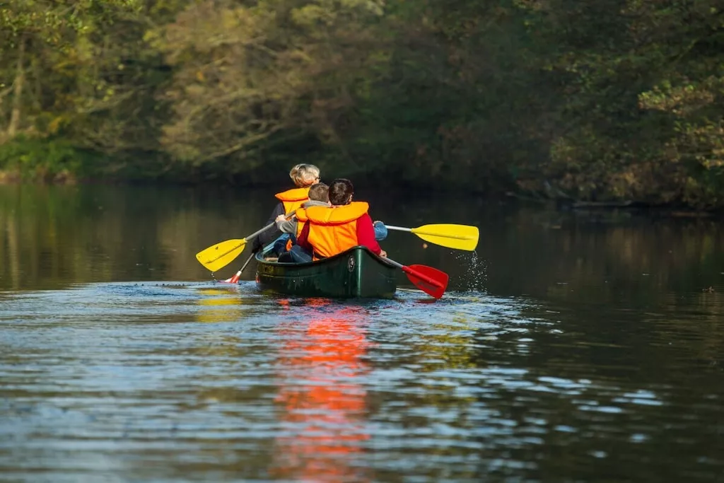 45956-Nicht zugeordnet