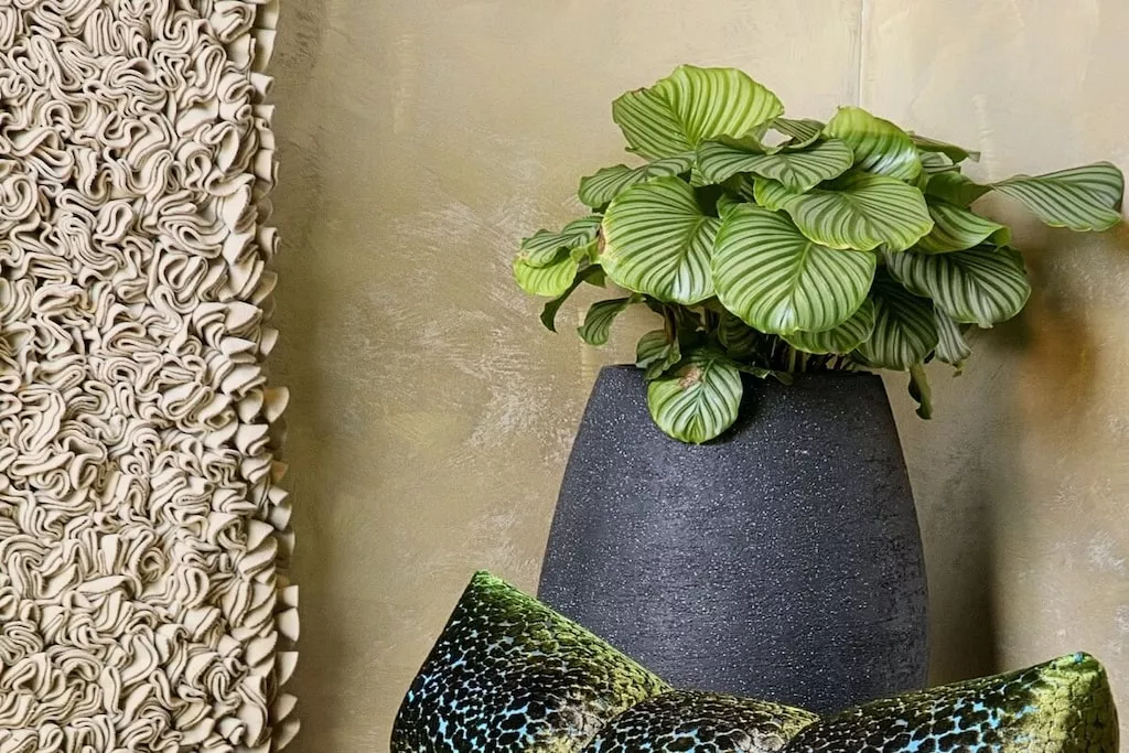 217173-Nicht zugeordnet