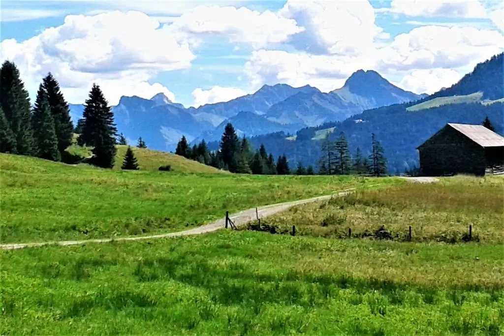 276688-Nicht zugeordnet