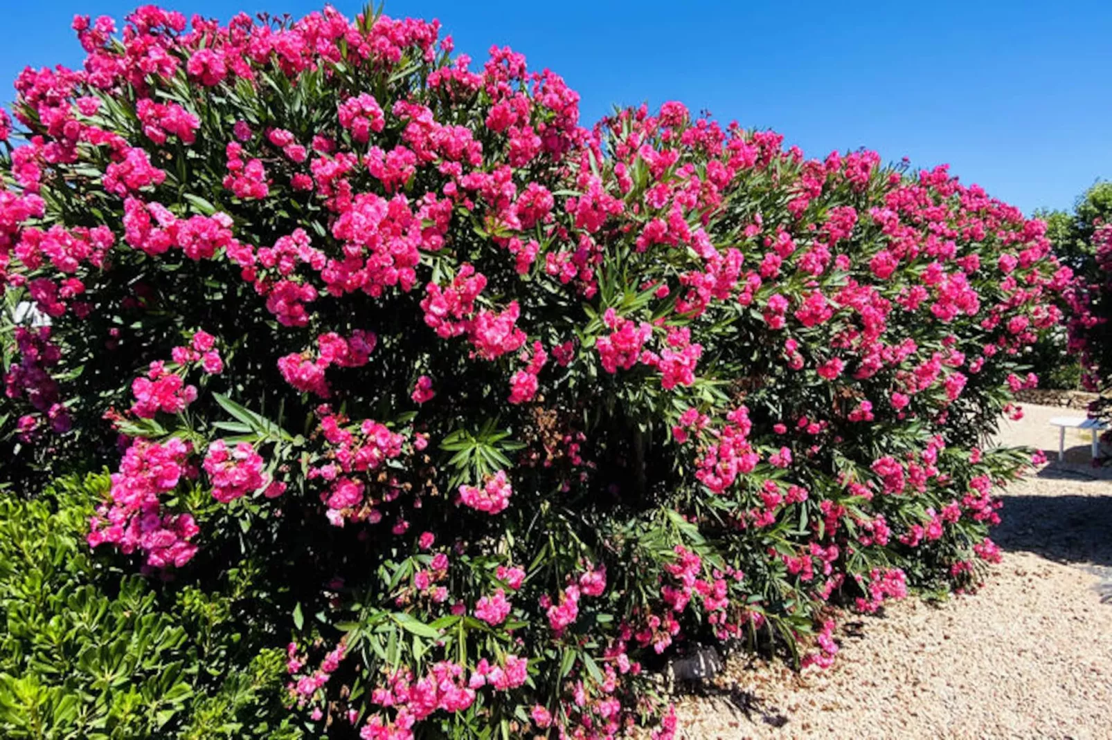 Maison à Binibeca-Image-tags.