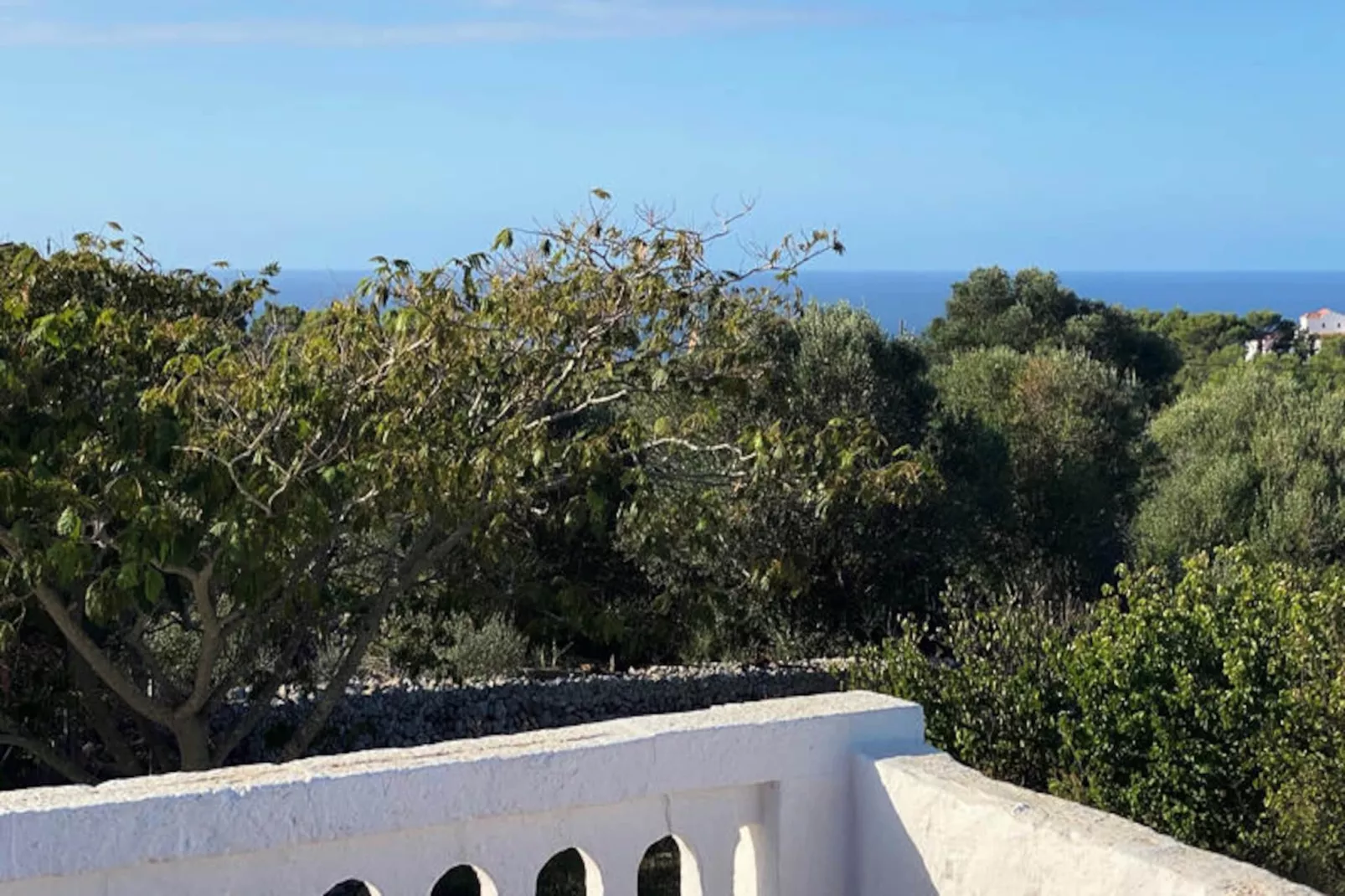 Maison à Son Bou-Image-tags.