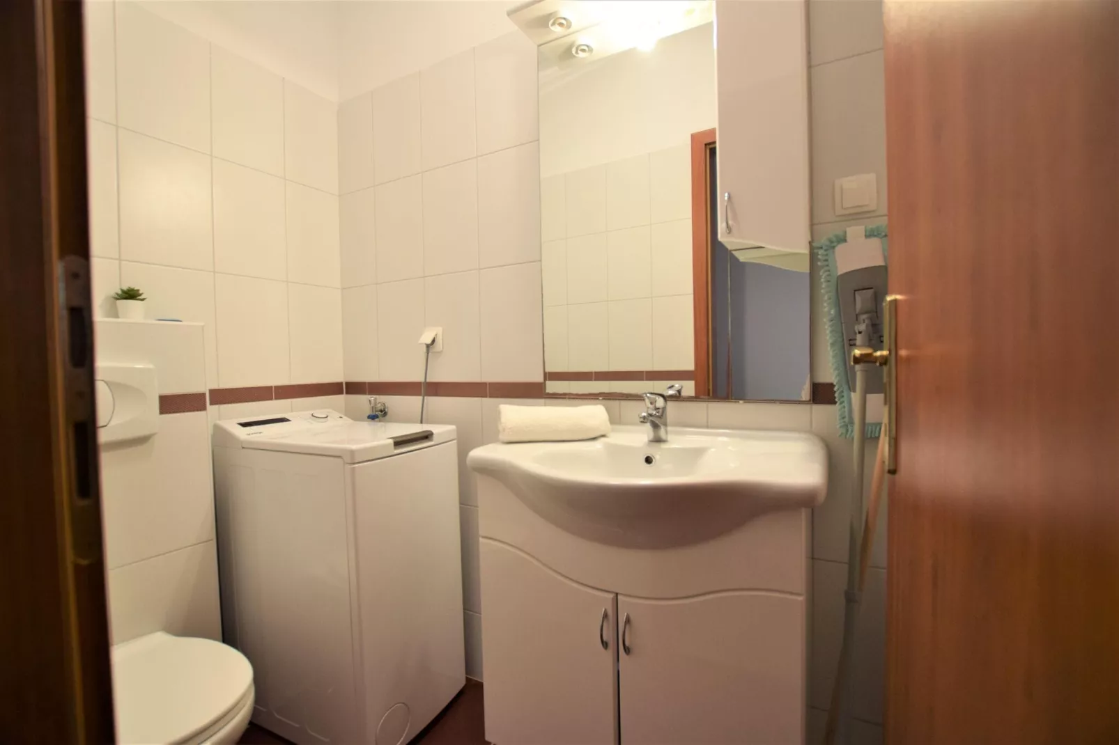 Apartment VIVA-Bathroom