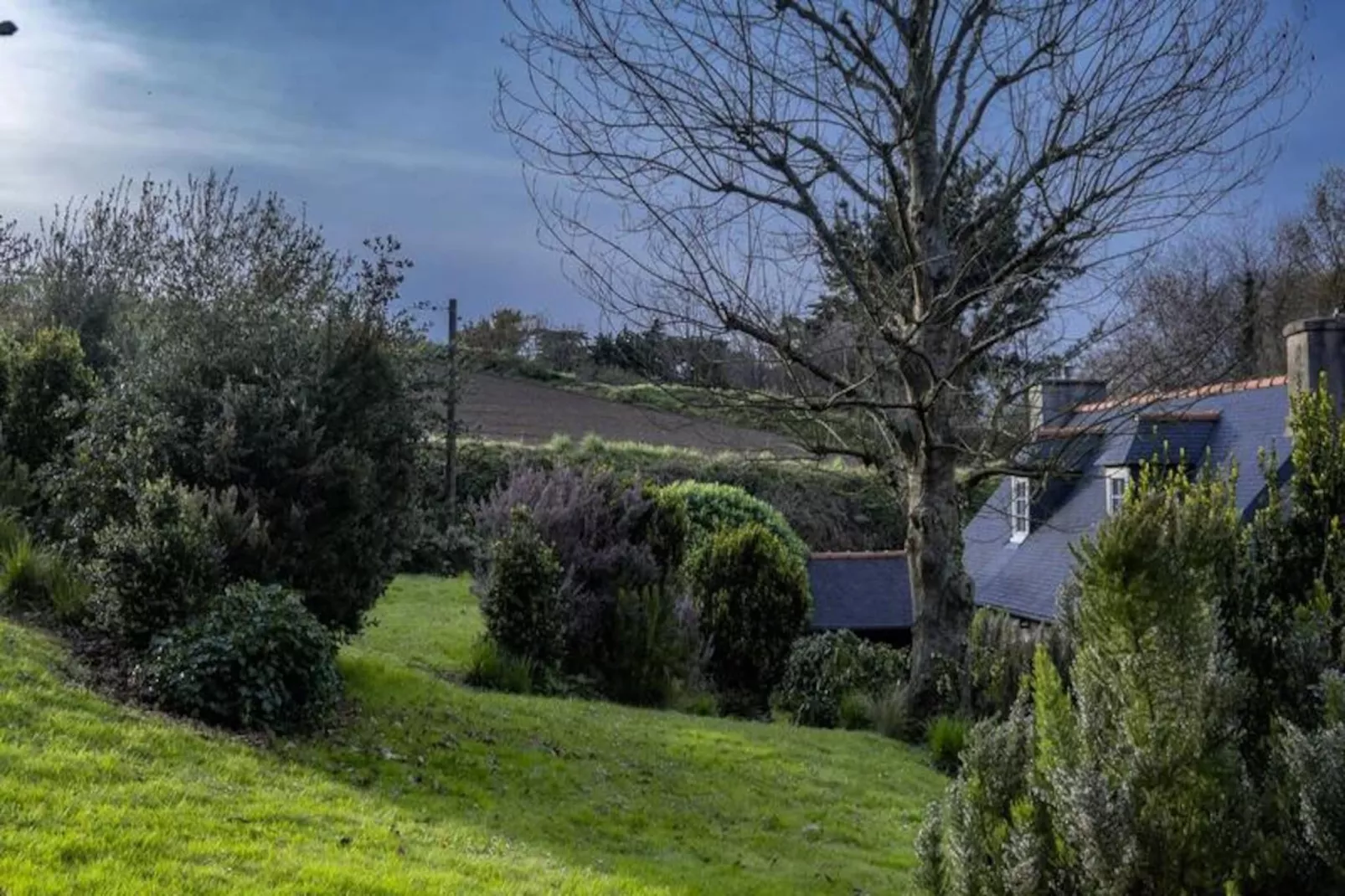 Maison à Plougrescant-Image-tags.