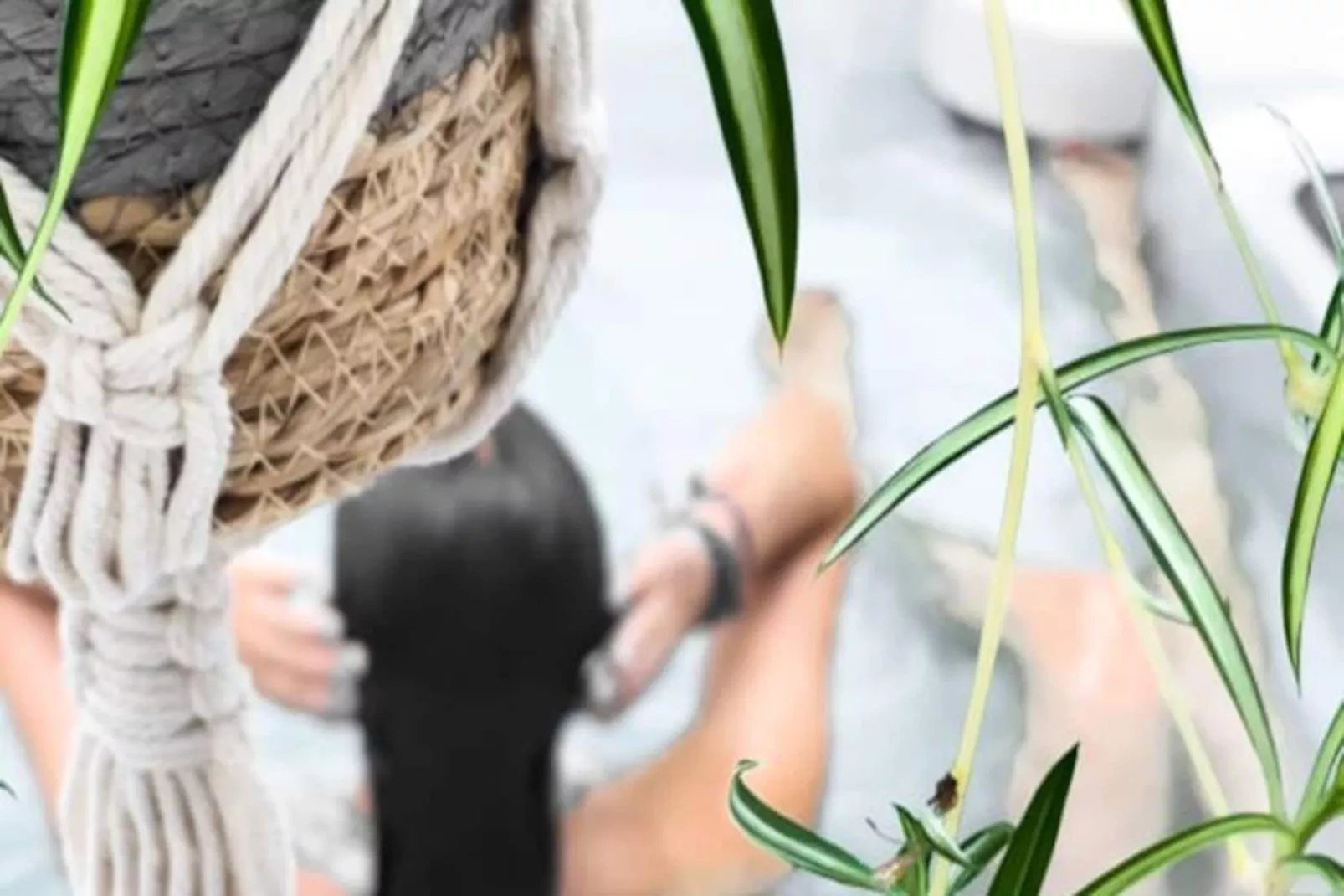 Maison R&eacute;gent & Spa - Un Balcon Sur La Mer-Image-tags.