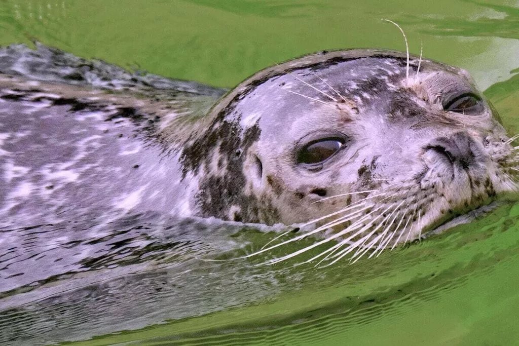 507796-Nicht zugeordnet