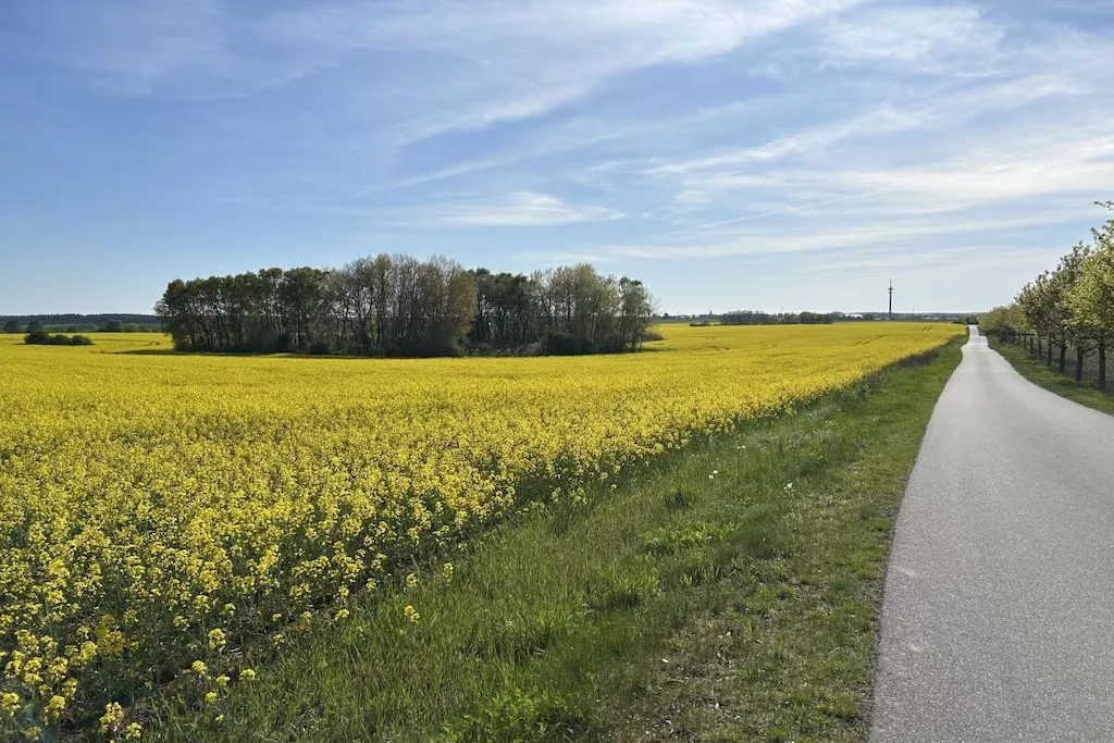 603128-Nicht zugeordnet