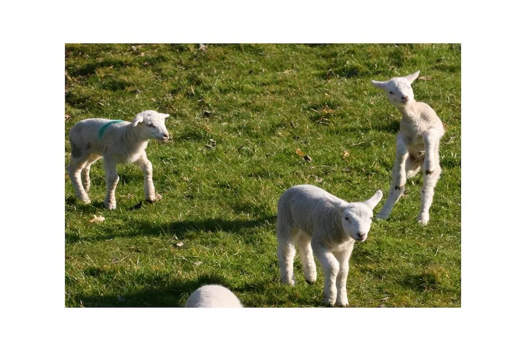 604282-Nicht zugeordnet