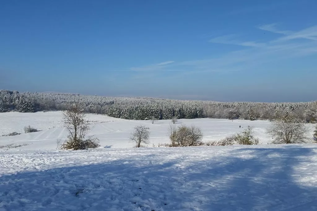 103639-Nicht zugeordnet