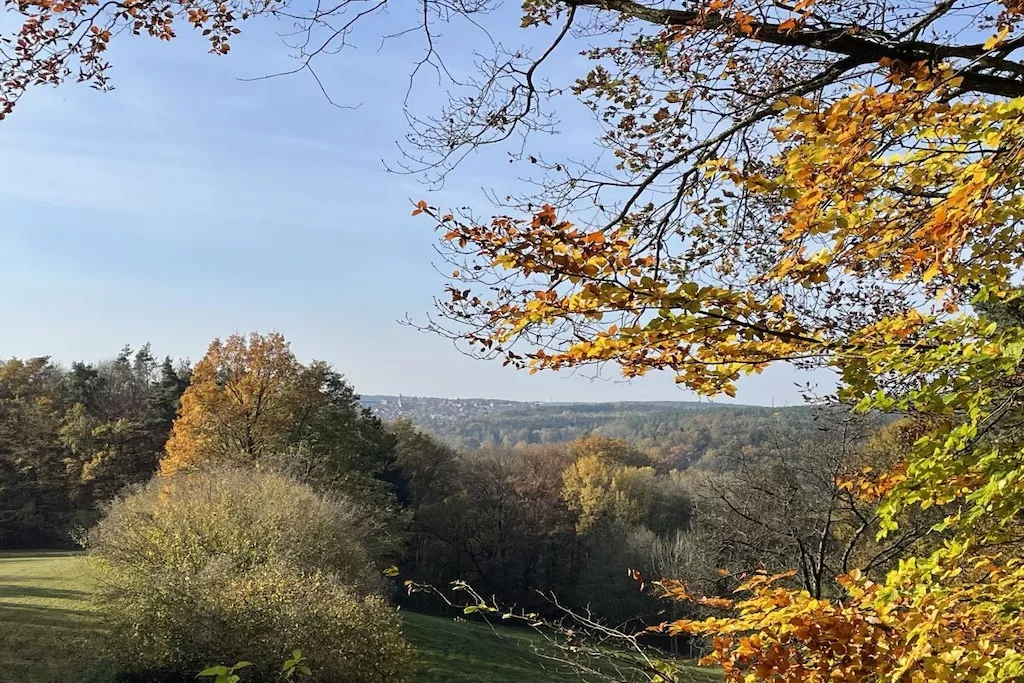 580632-Nicht zugeordnet