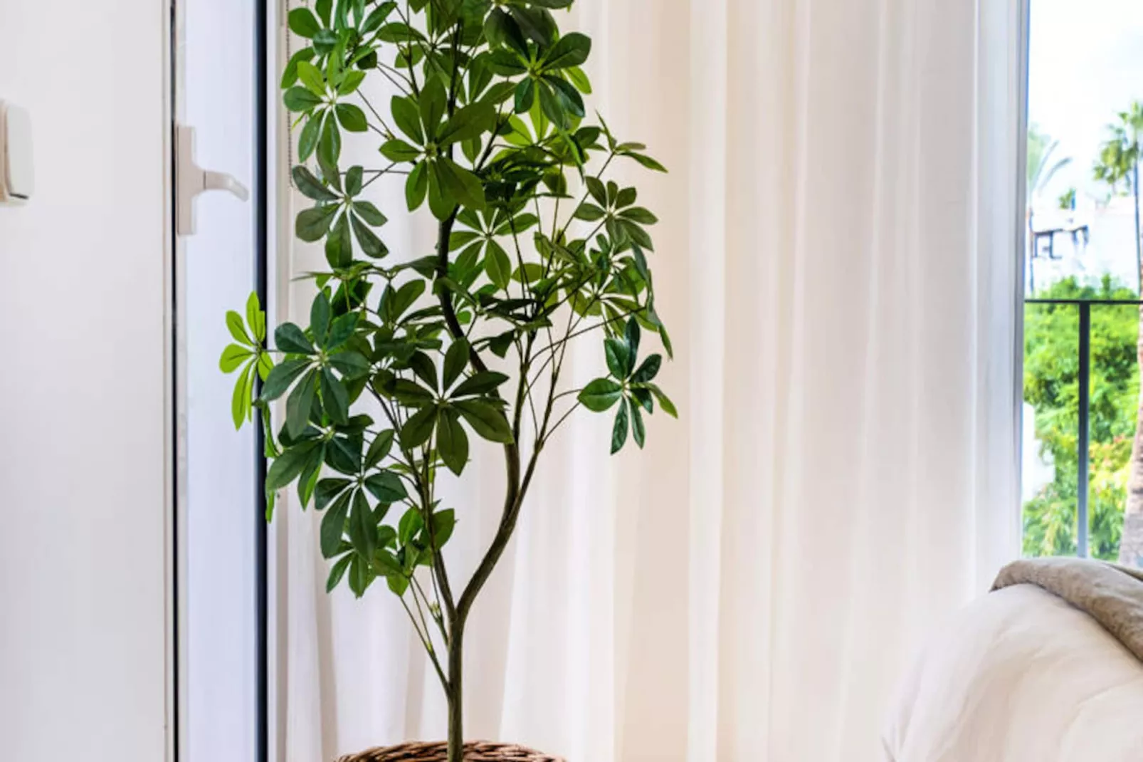 Appartements à Estepona-Image-tags.