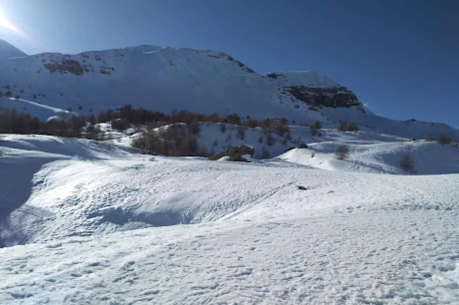 Résidence Gaubert - Area within 5km in winter