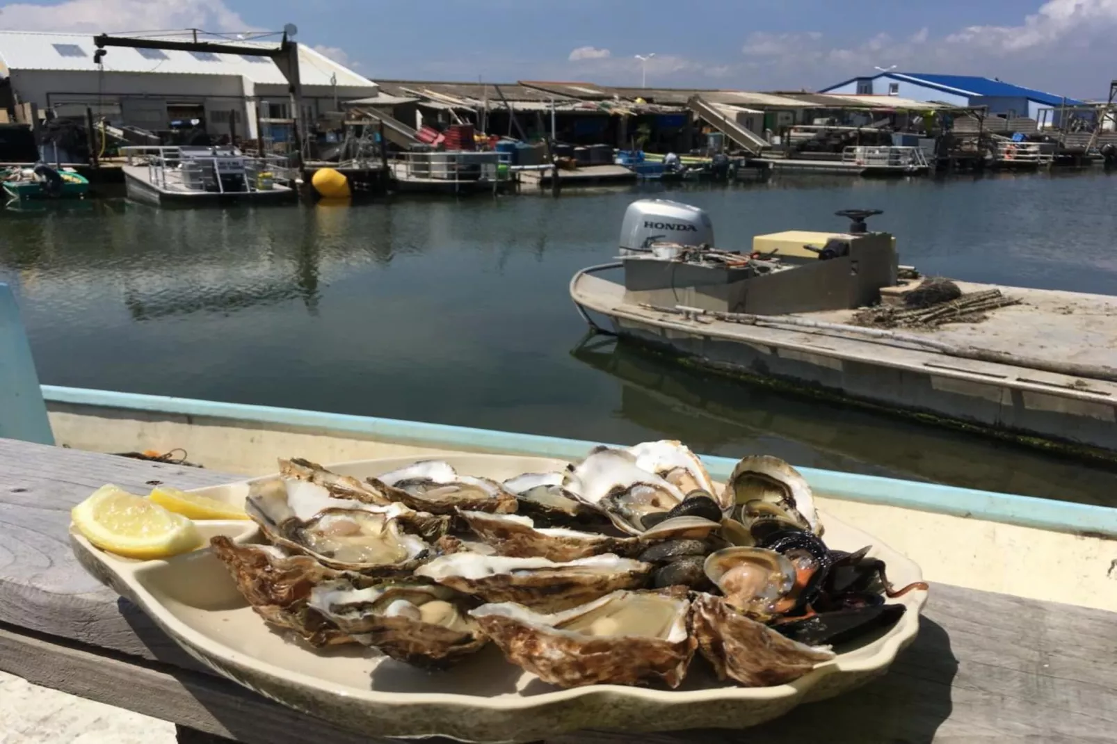 Résidence Les Captivantes-Außenbereich Sommer