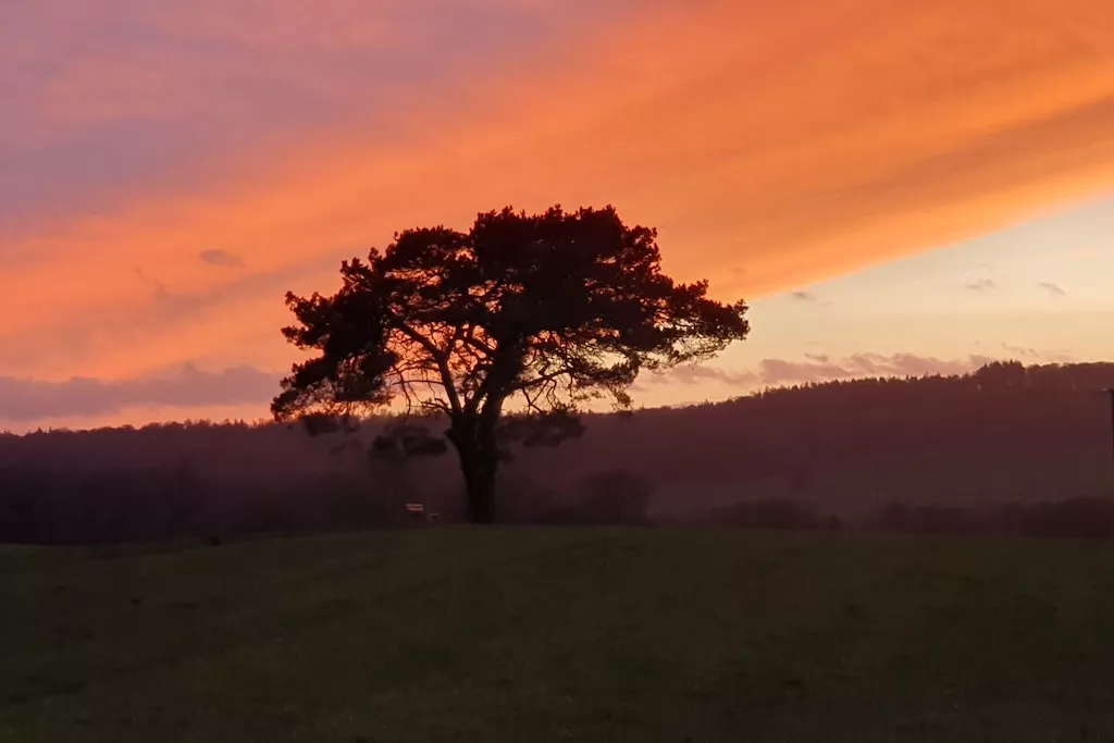 459081-Nicht zugeordnet