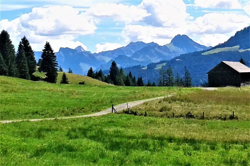 218678-Nicht zugeordnet