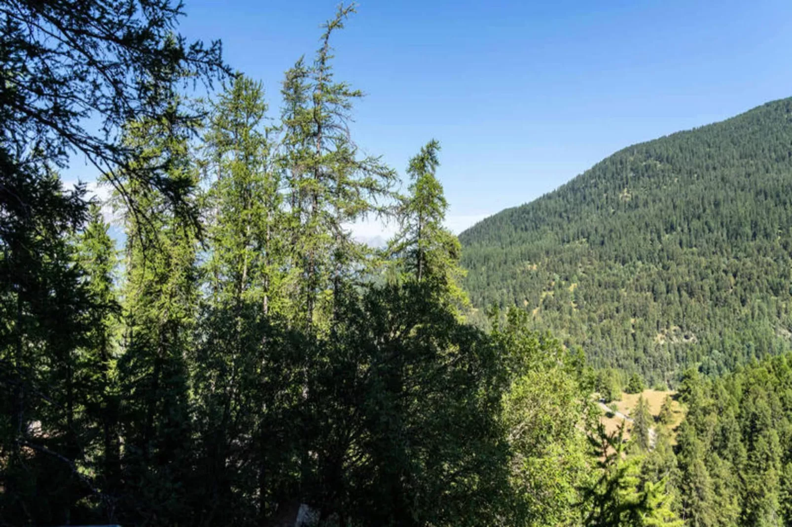 Résidence Le Belvedere - View in summer