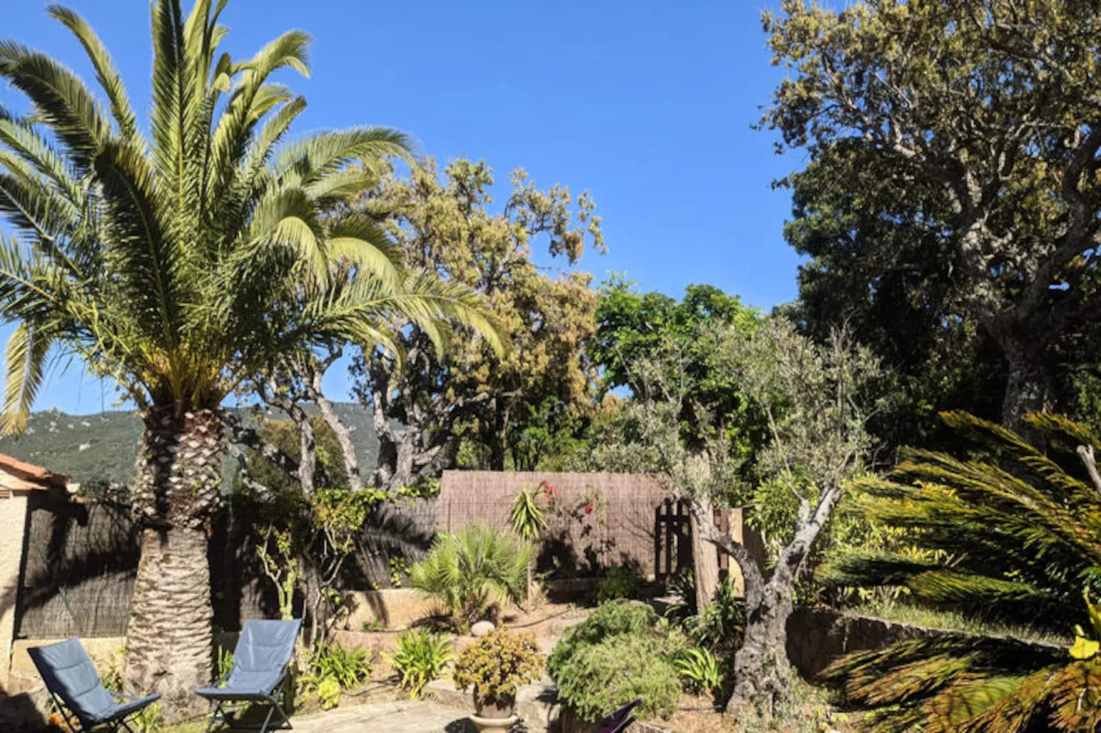 Appartements à Coti Chiavari - Corse-Image-tags.