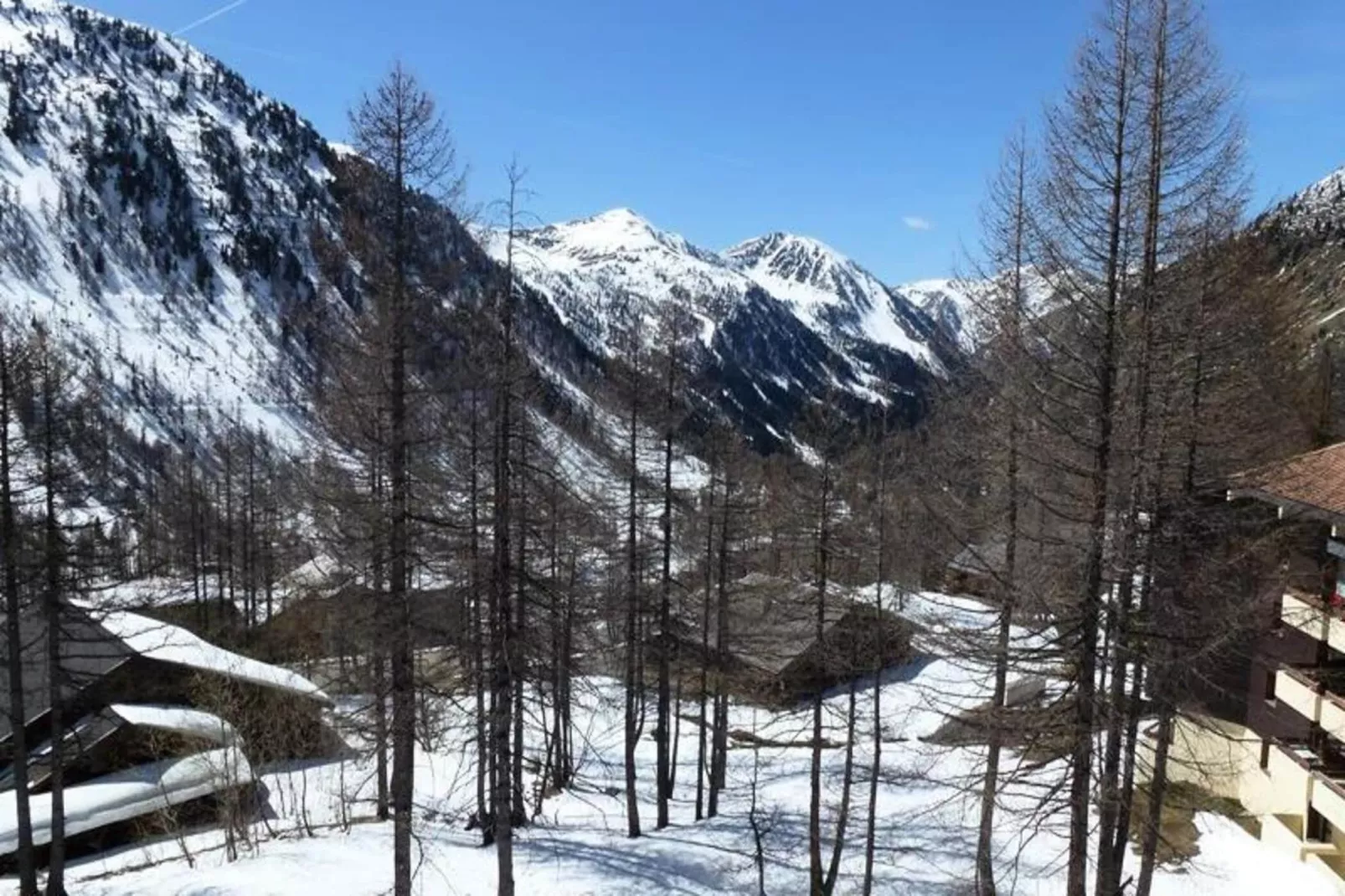 Résidence Génépi 301-Außenbereich Sommer