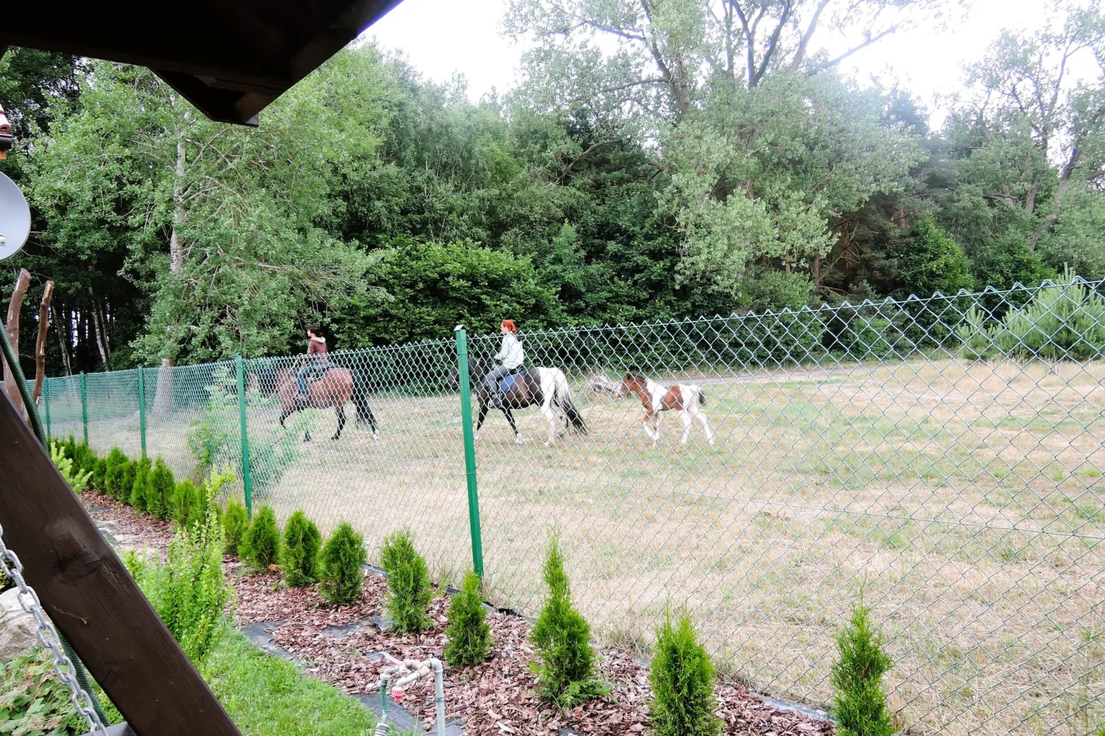Holiday home Kolczewo Leszowka-Vue d'été