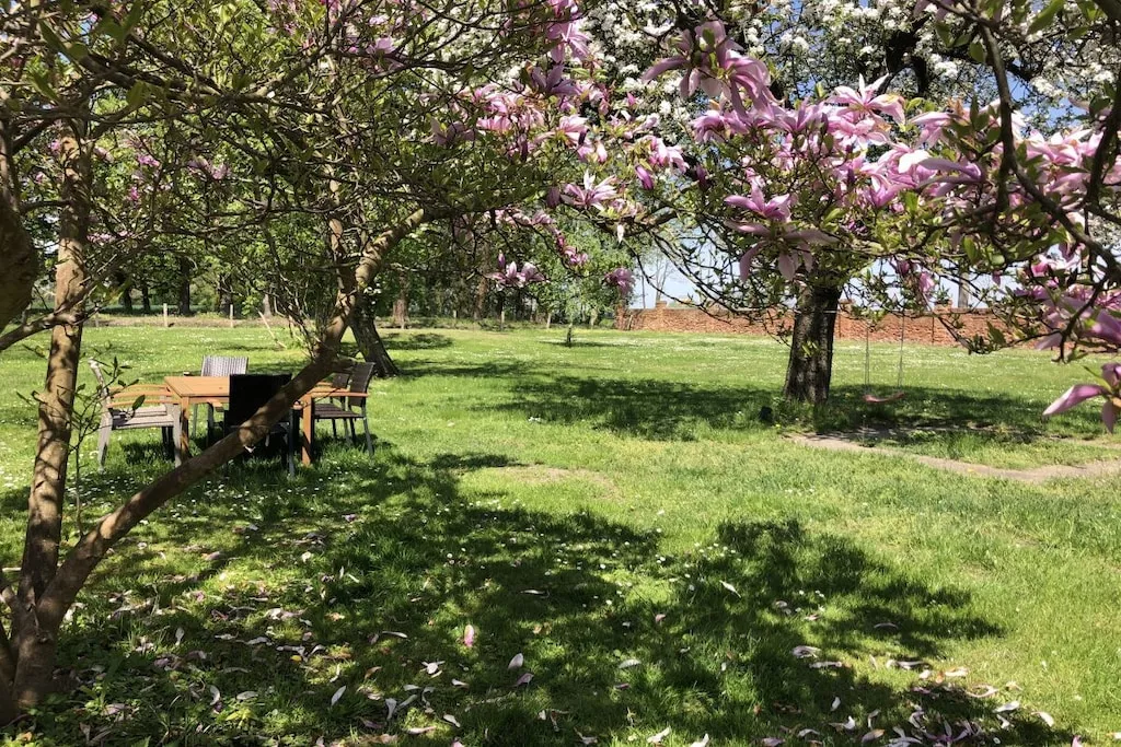 13225-Nicht zugeordnet