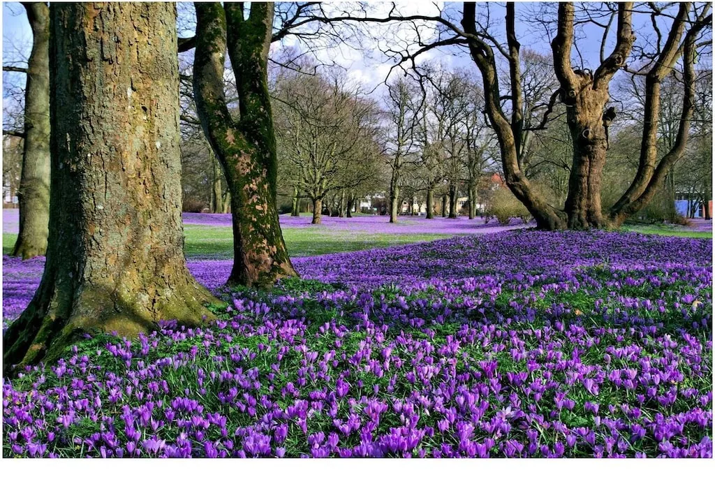 604282-Nicht zugeordnet